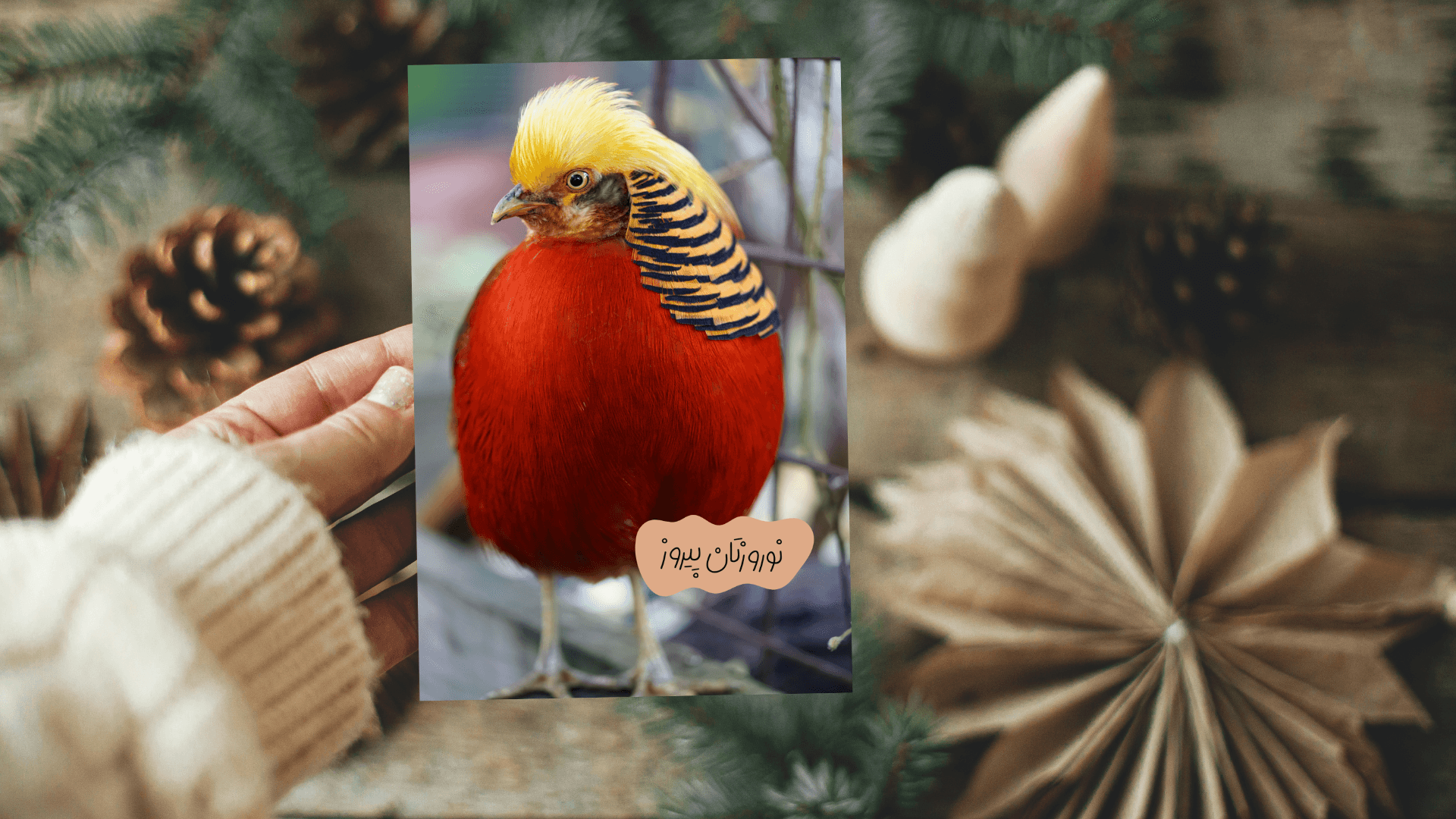 Nowruz with Elegant Golden Pheasant Greeting Cards