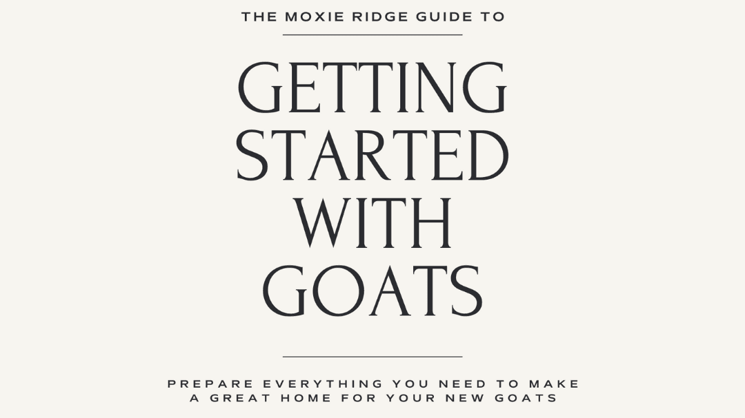 Moxie Ridge Guide to Getting Started with Goats