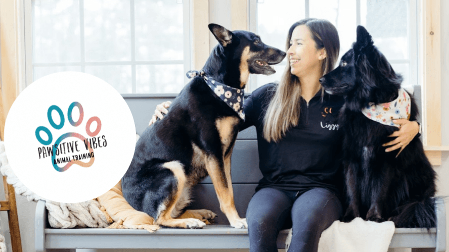 Chaos to Calm Waitlist