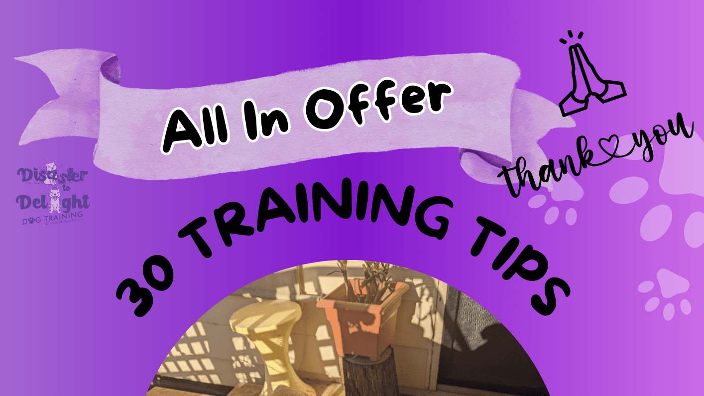 Full Month of Training Tips is Here!