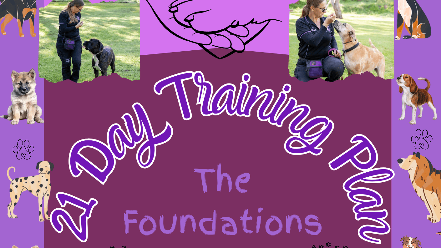 Get My 21 Day Dog Training Plan Now!