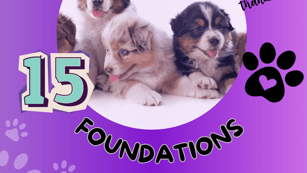 Ultimate Puppy Foundations