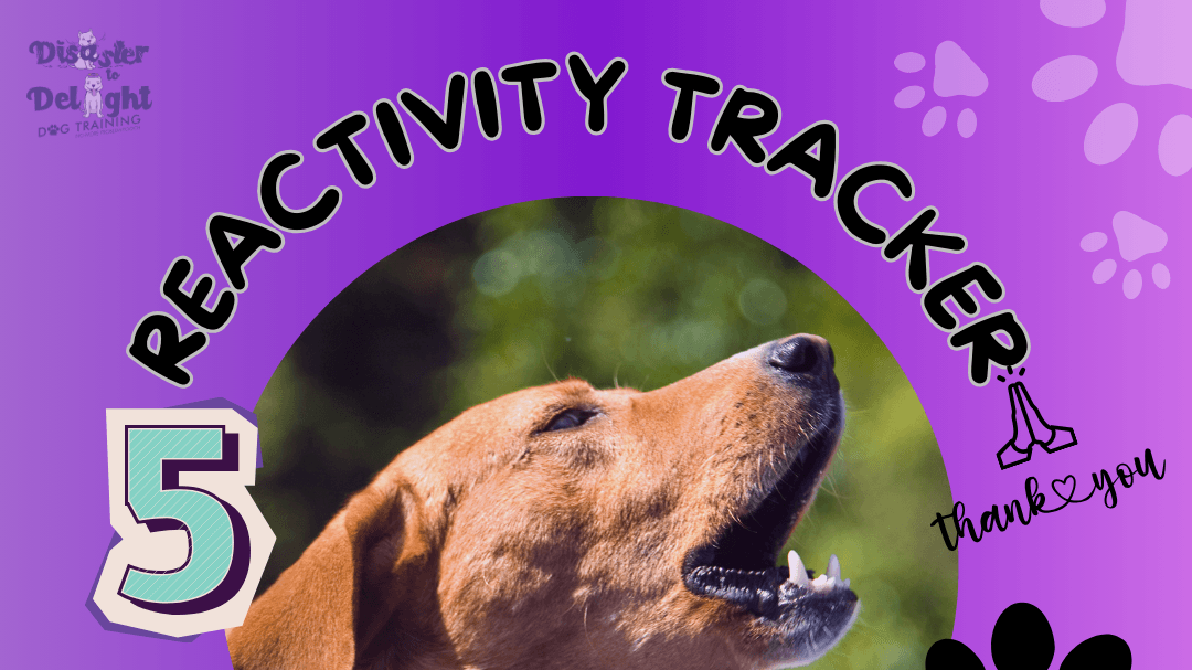 "Reactivity Tracker Essentials"