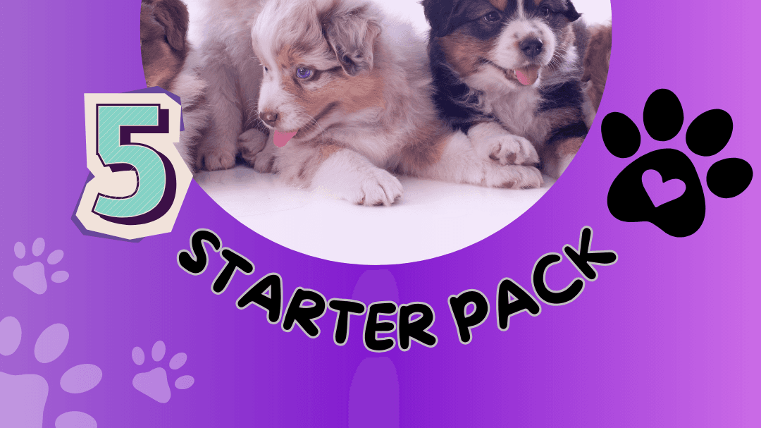 Puppy Prep Starter Pack