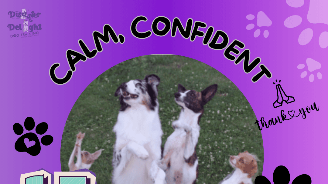 "Calm, Confident & Connected"