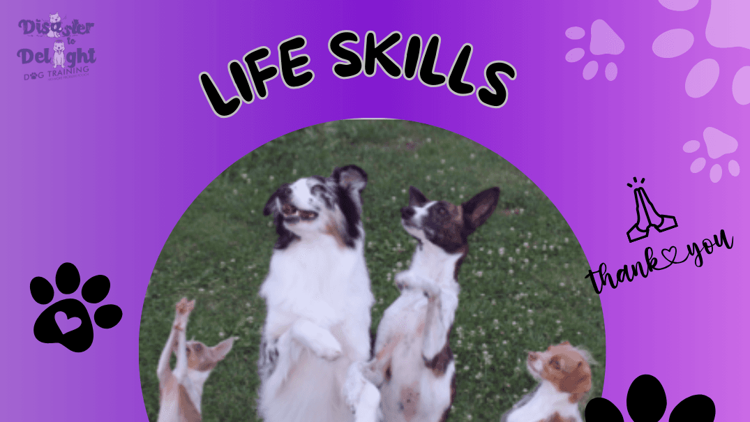 "Life Skills Tracker Kit"