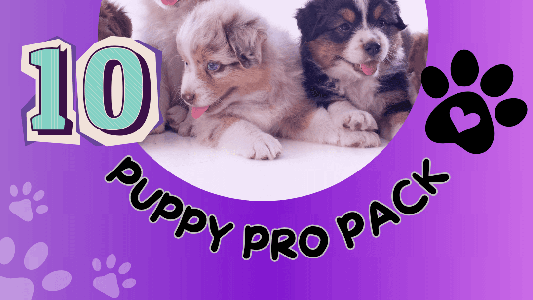 Raising the Bar Puppy Pro Pack