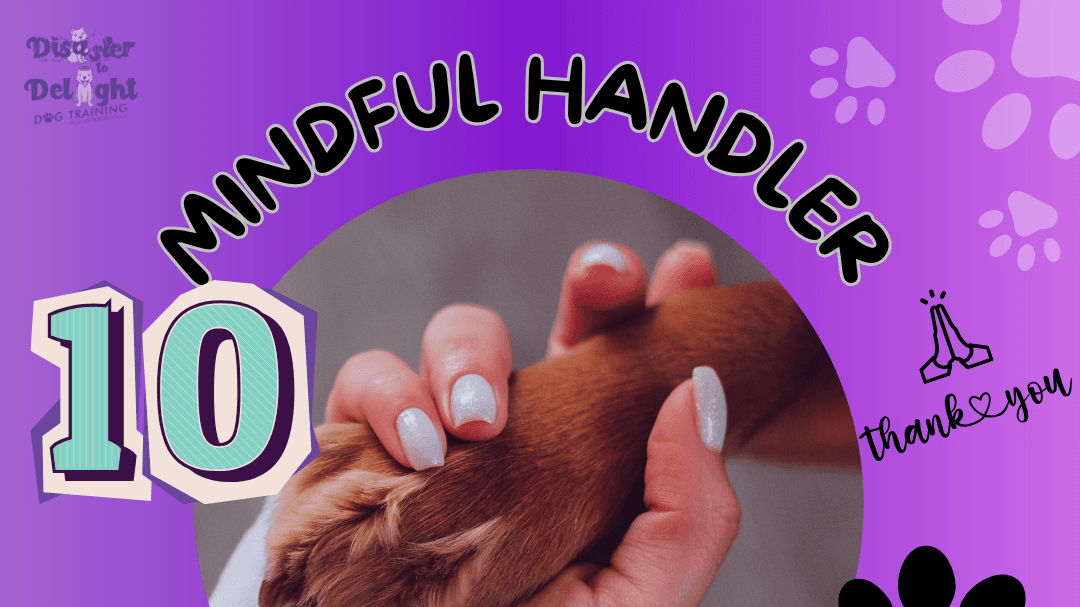 Mindful Handler Toolkit