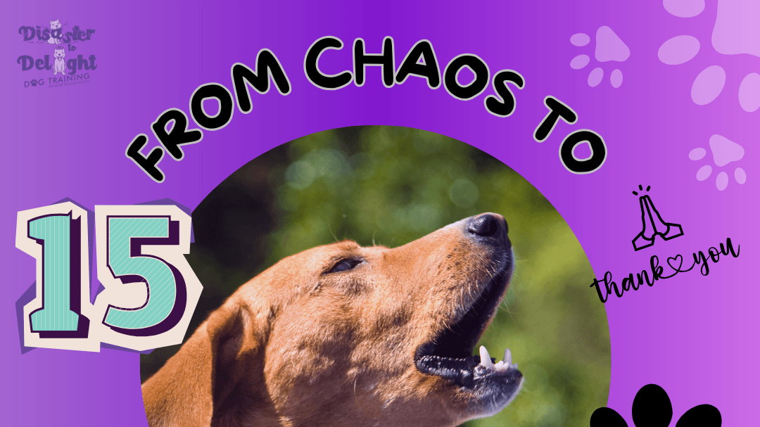"From Chaos to Clarity"