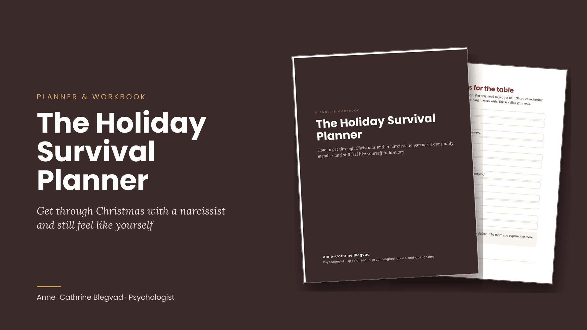 The Holiday Survival Planner