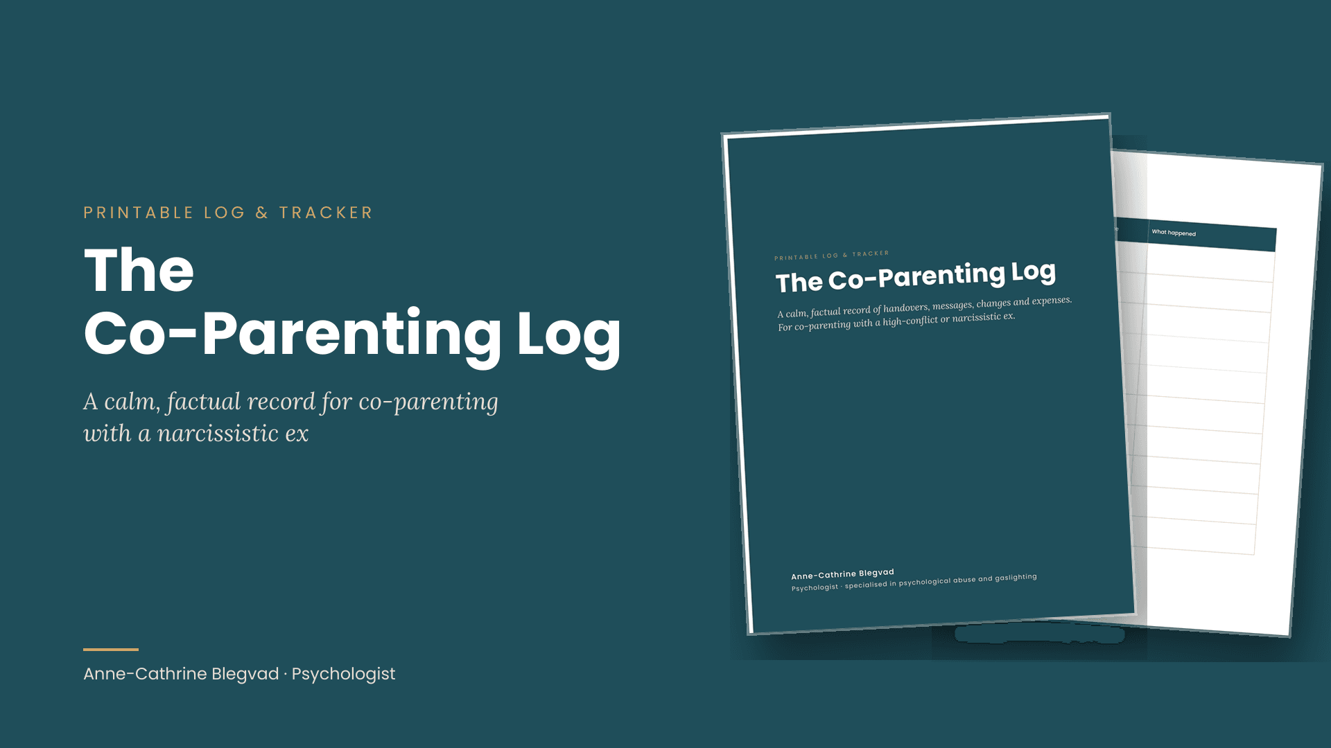 The Co-Parenting Log
