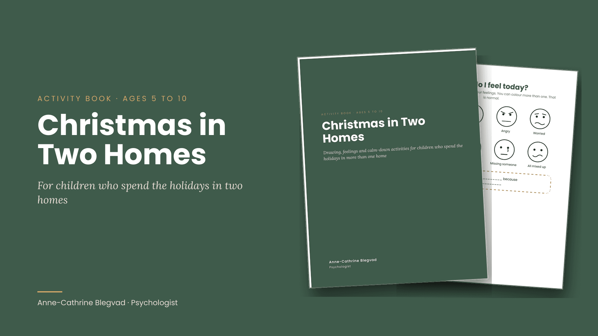 Christmas in Two Homes
