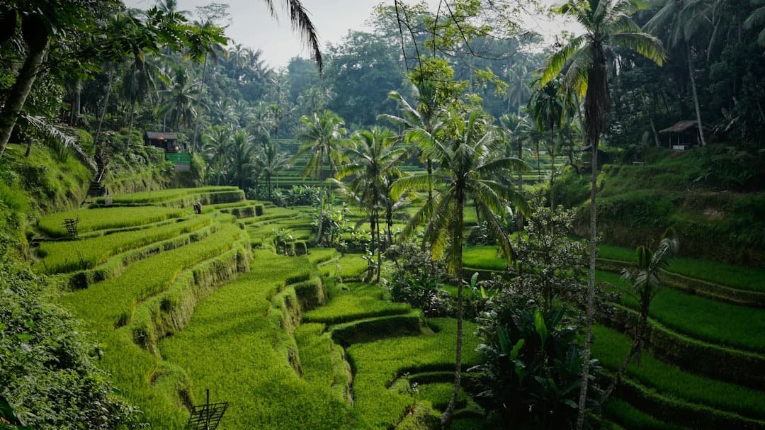 Get My Discover Bali Villas Guide Now!