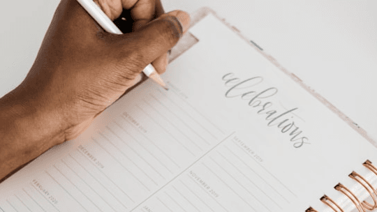 Business Planner & Journal (+DFY)