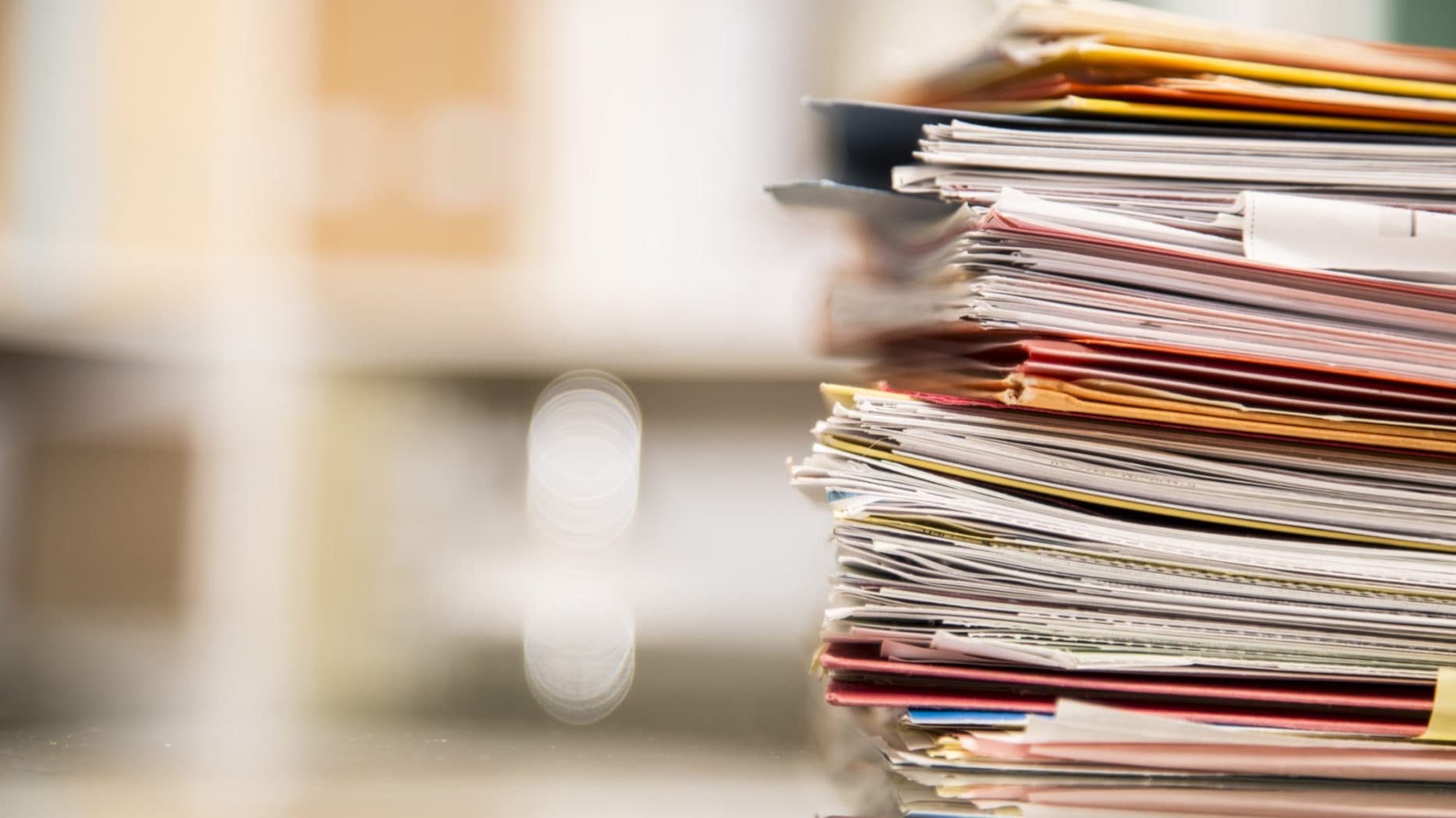 Immigration Document Review Service