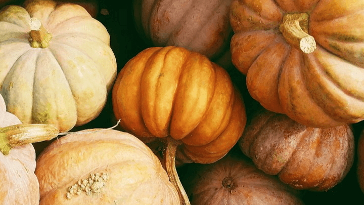 Get My Treasure Valley Fall Guide Now!