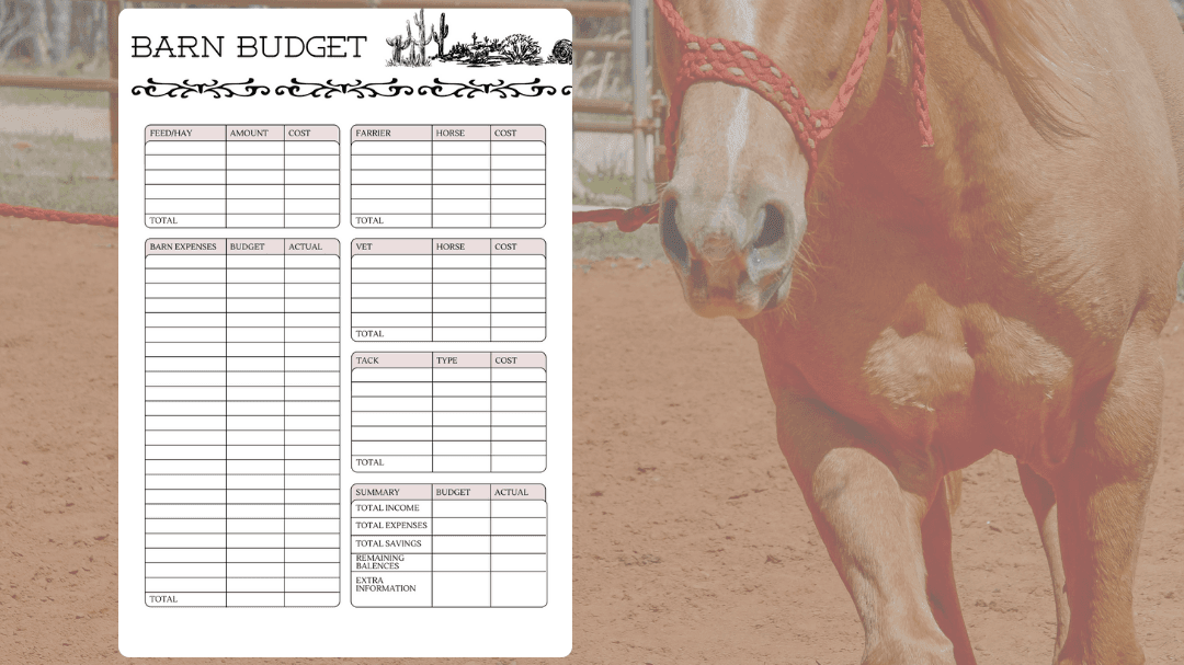 Barn Budget Digital Planner
