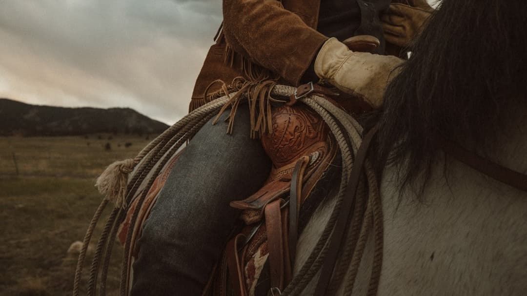 Saddle Up for Success with Roadmap 3.0 