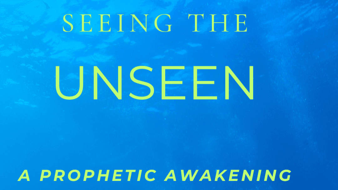 Get your copy of “Seeing the Unseen”