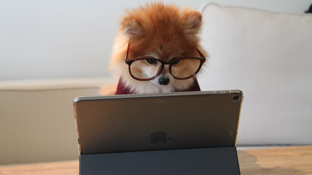 Free Guide- Learn the PLR Advantage!