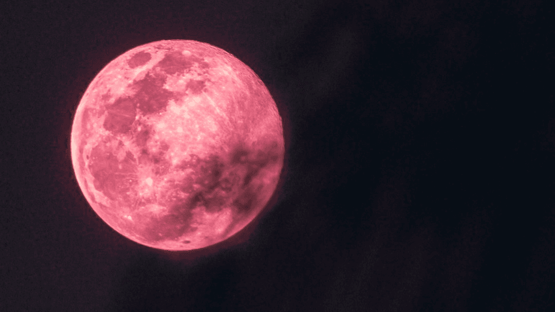 Love Birth Chart Reading