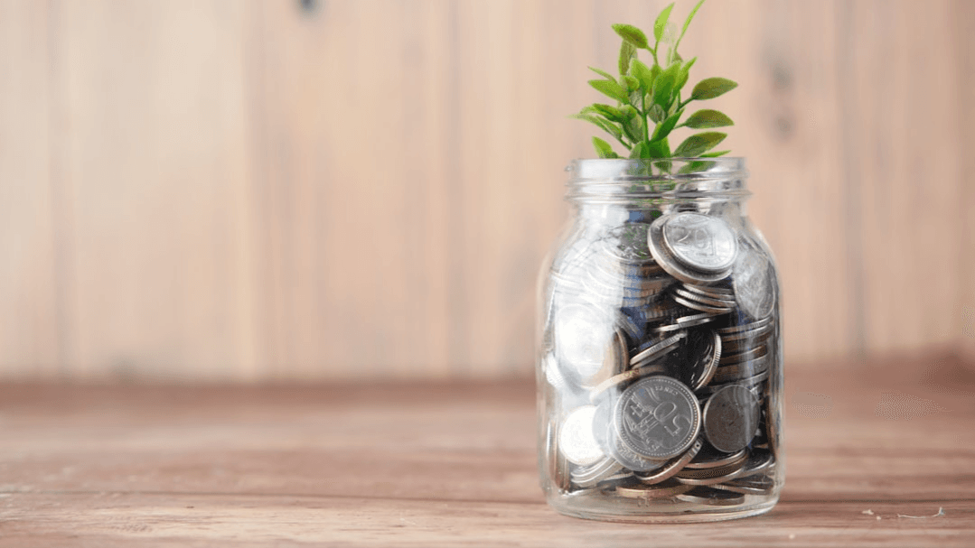The Wealth Setup Guide!