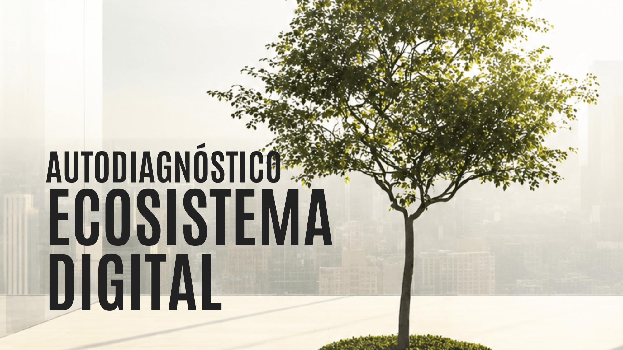 ¿Tu ecosistema digital trabaja para tu negocio?