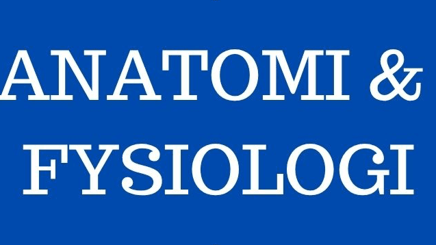 SJUKSKÖTERSKEGUIDENS - ANATOMI & FYSIOLOGI