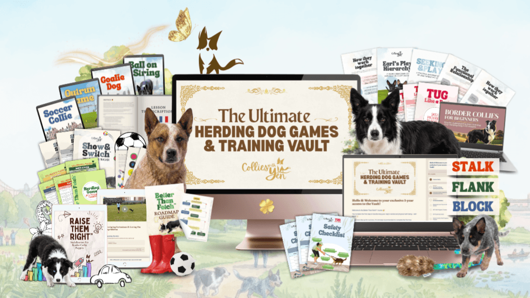 The Ultimate Herding Dog Games & Training Vault