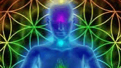 VIP Day! Master Usui Reiki+Medical Intuition Sesh