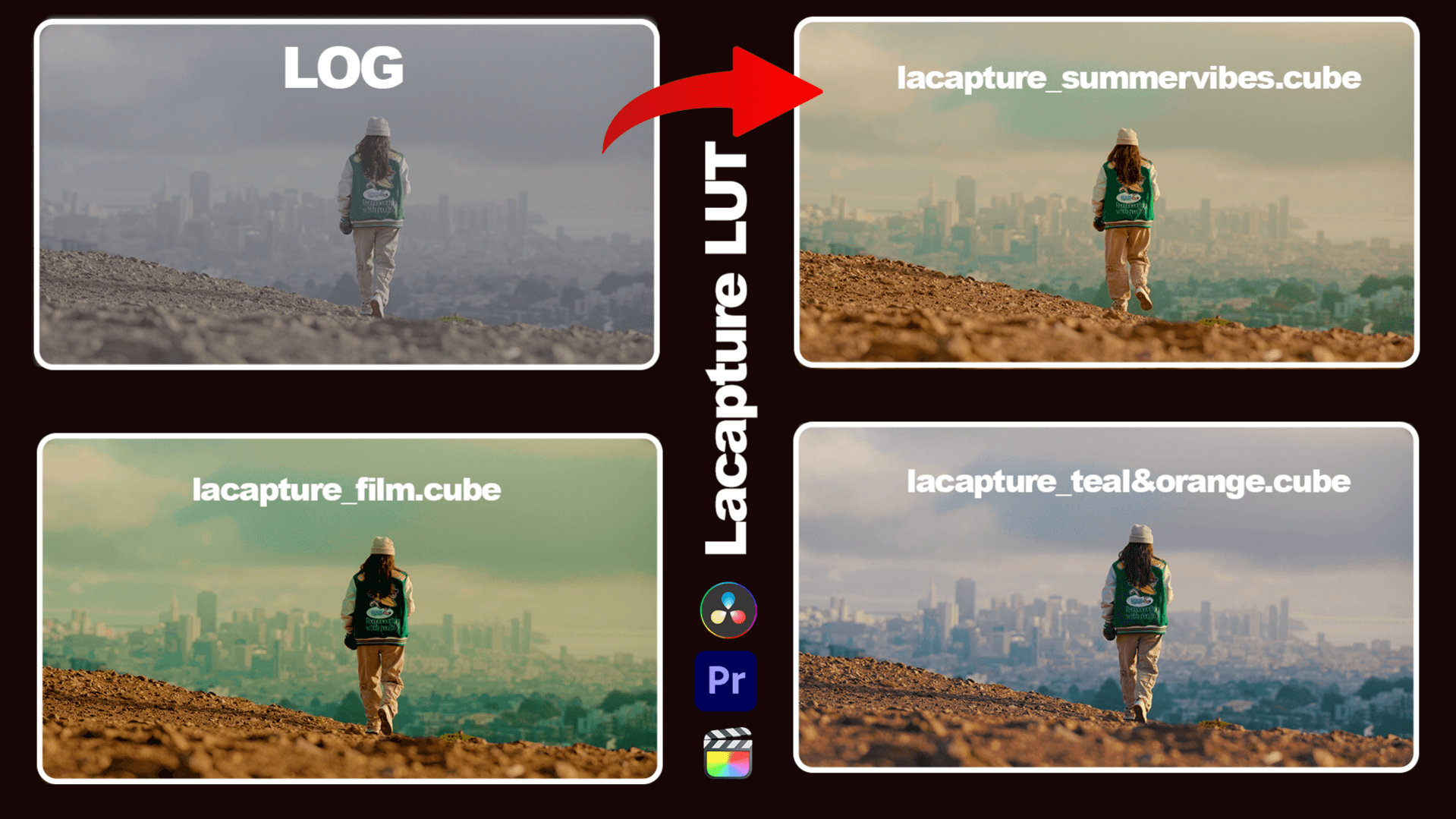 LACAPTURE'S CINEMATIC LUT BUNDLE