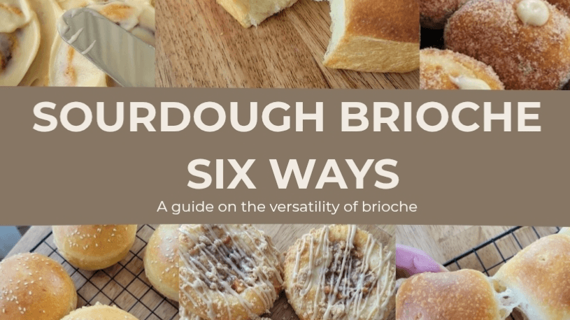 Sourdough Brioche Guide
