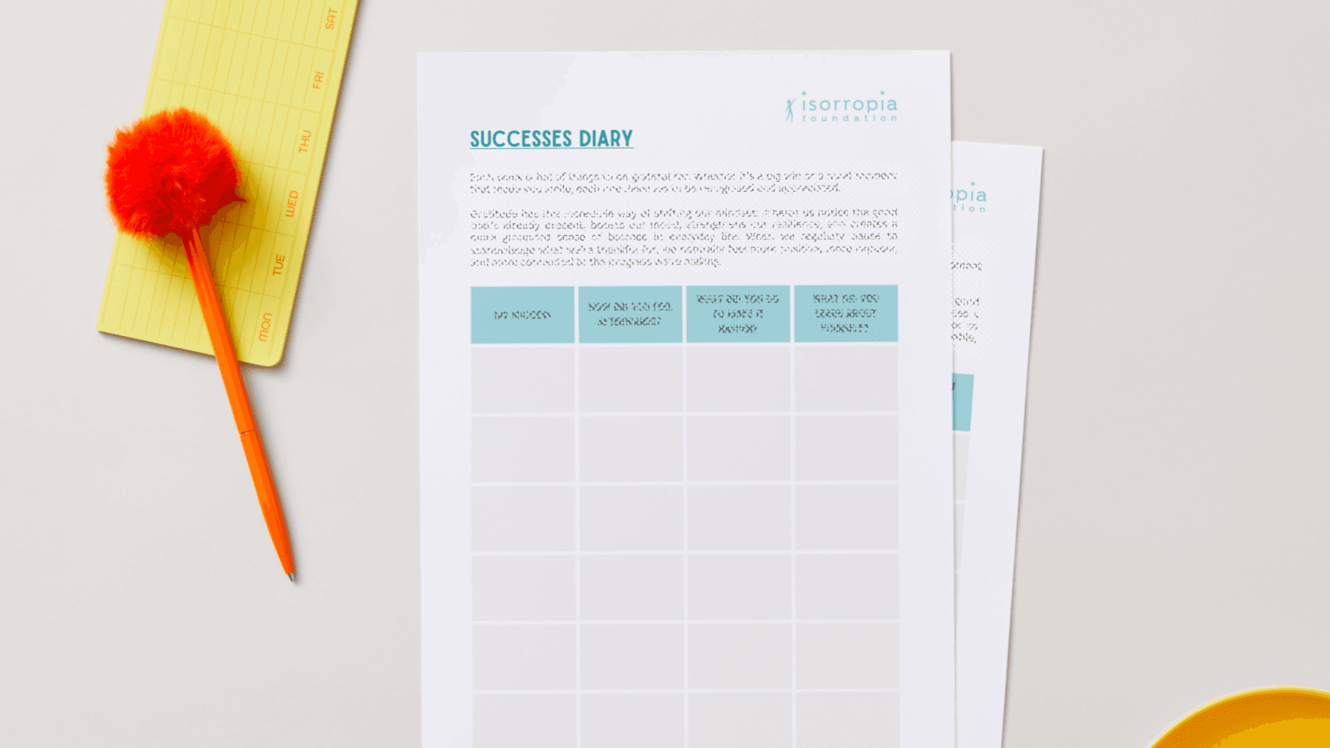 Successes Diary