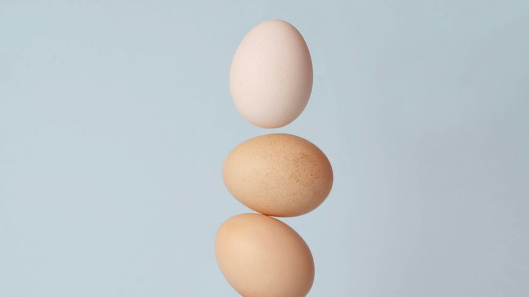  Egg Quality Toolkit!
