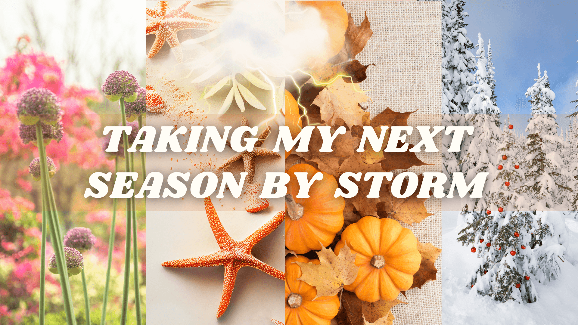 TAKING MY NEXT SEASON BY STORM DIGITAL COURSE
