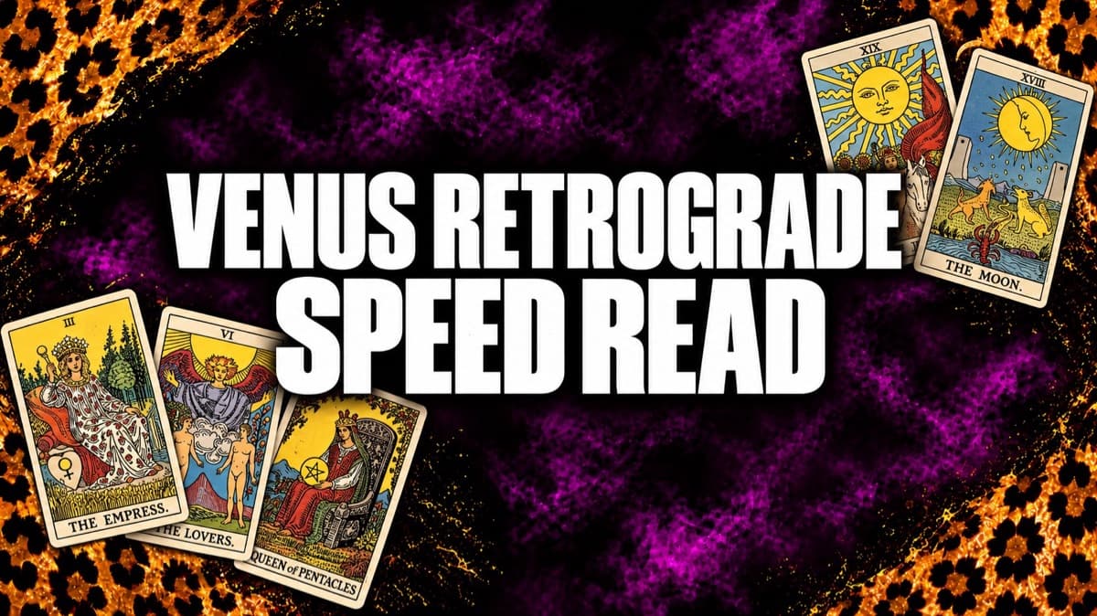 Venus Retrograde Speed Read