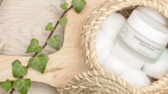 Behind The Label Ingredient Decoder Bot