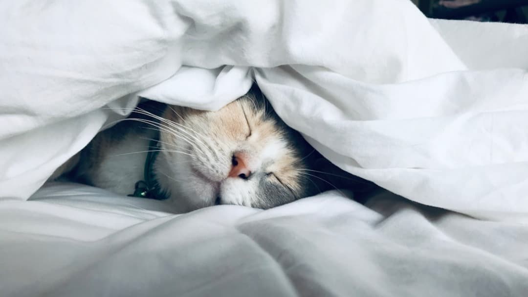 Get Our 10-Day Sleep Course Now!