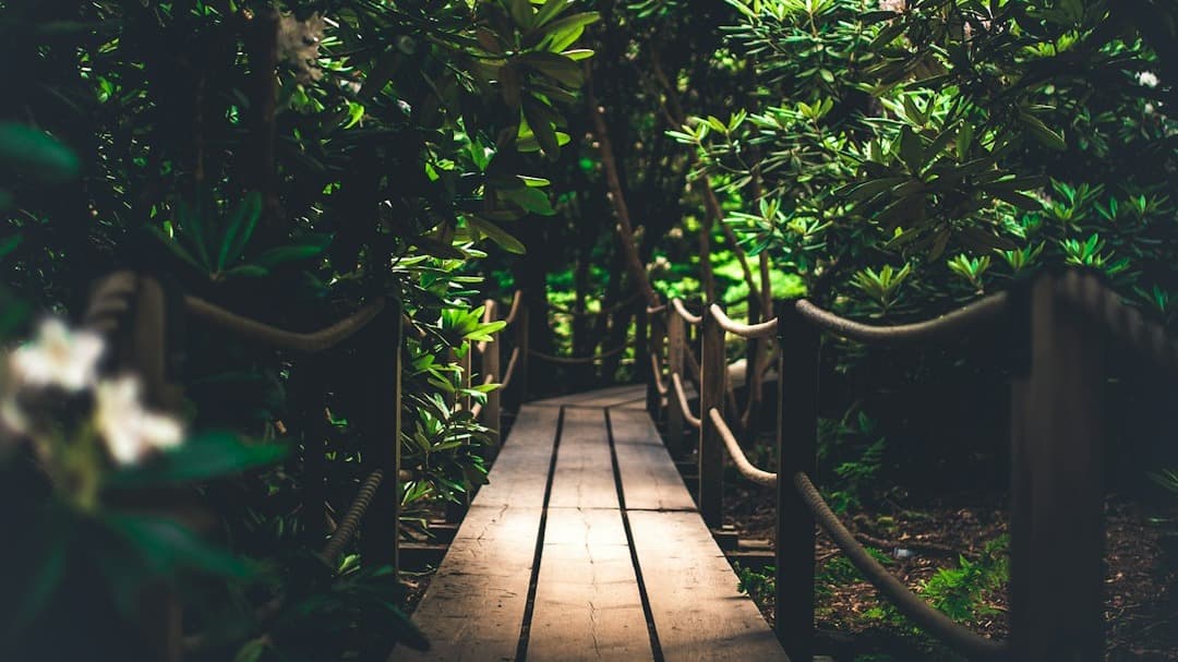 Download Our Very Own Jungle Pack