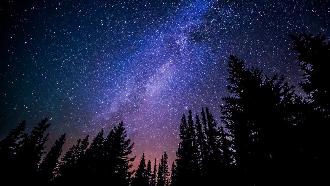 Learn How To Lucid Dream Now!
