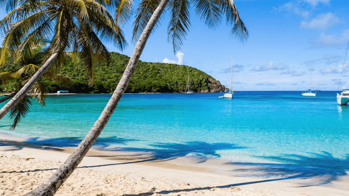🌴Caribbean Group Escape Deposit – Standard Solo 
