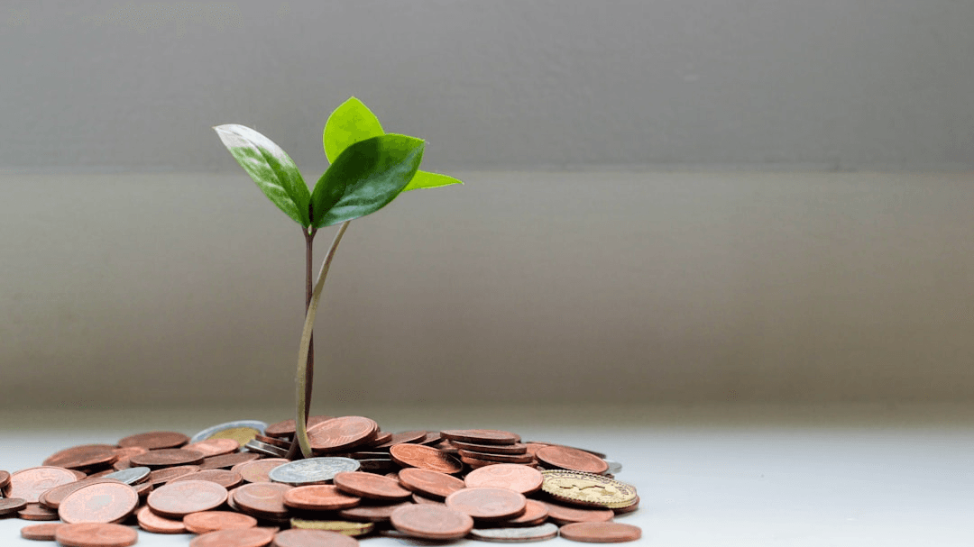 Financial Boot Camp