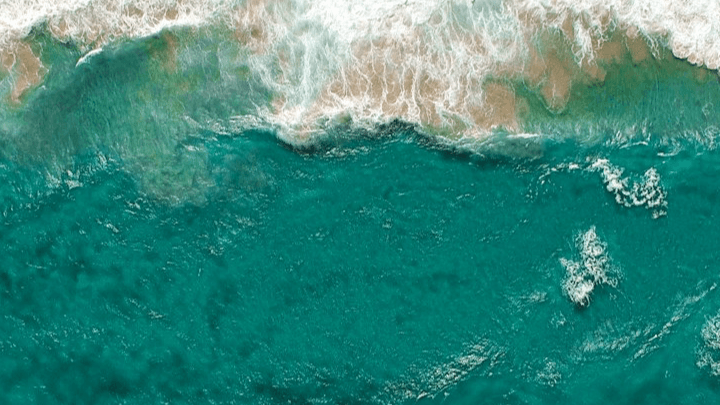 10 Phrases for Water-Lovers
