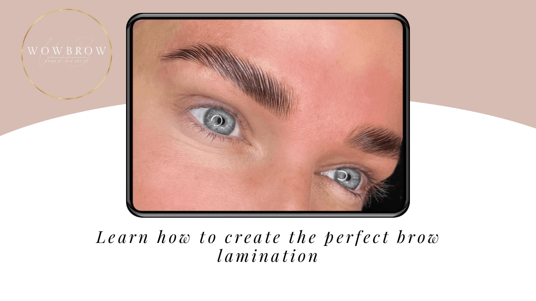 Beginner Brow Lamination course 