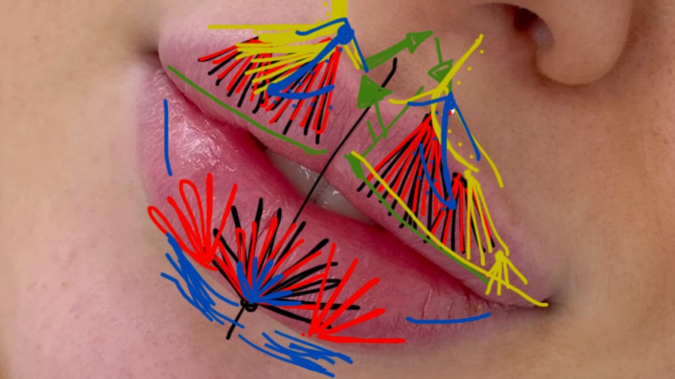2024 edition: Lip Masterclass