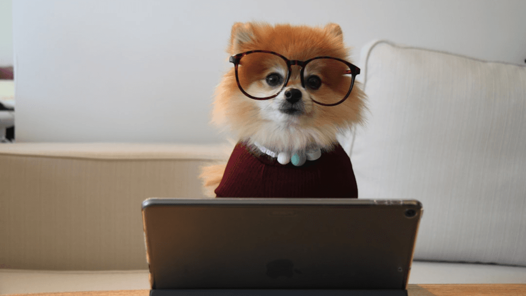 Pick Your Niche: Fast Track your Specialization