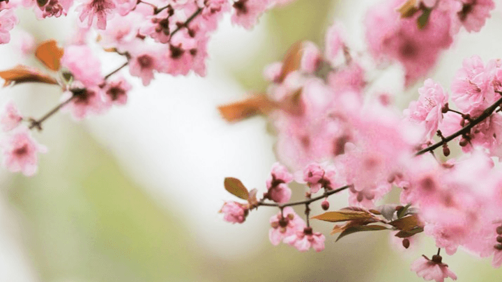 A Free Guide: 5 Changes That Actually Help