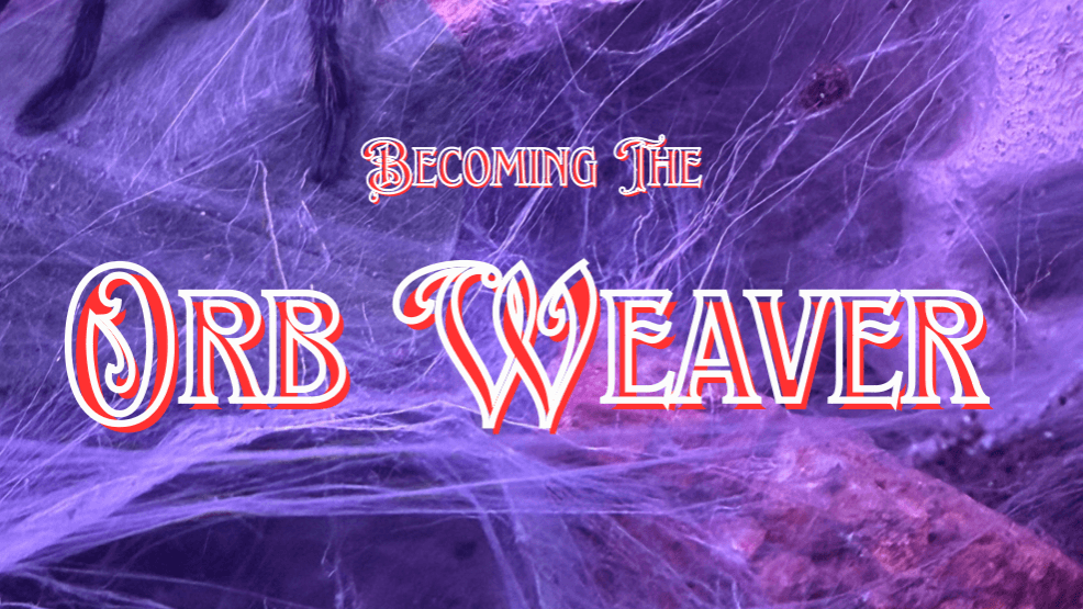 Orb Weaver Meditations