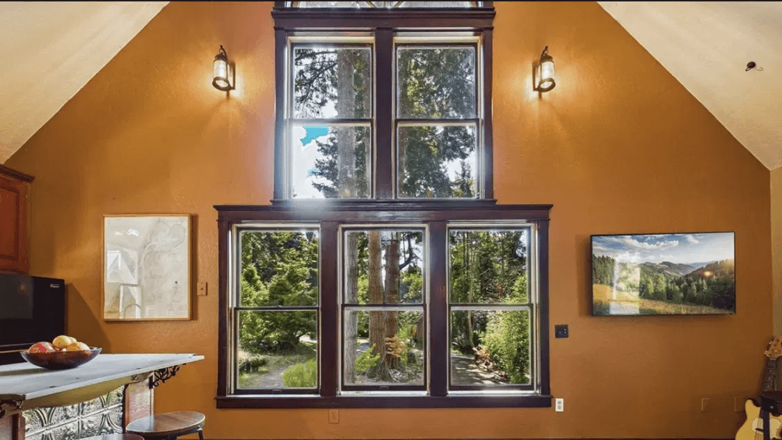 Discover Trinidad's Hidden Redwood Retreat