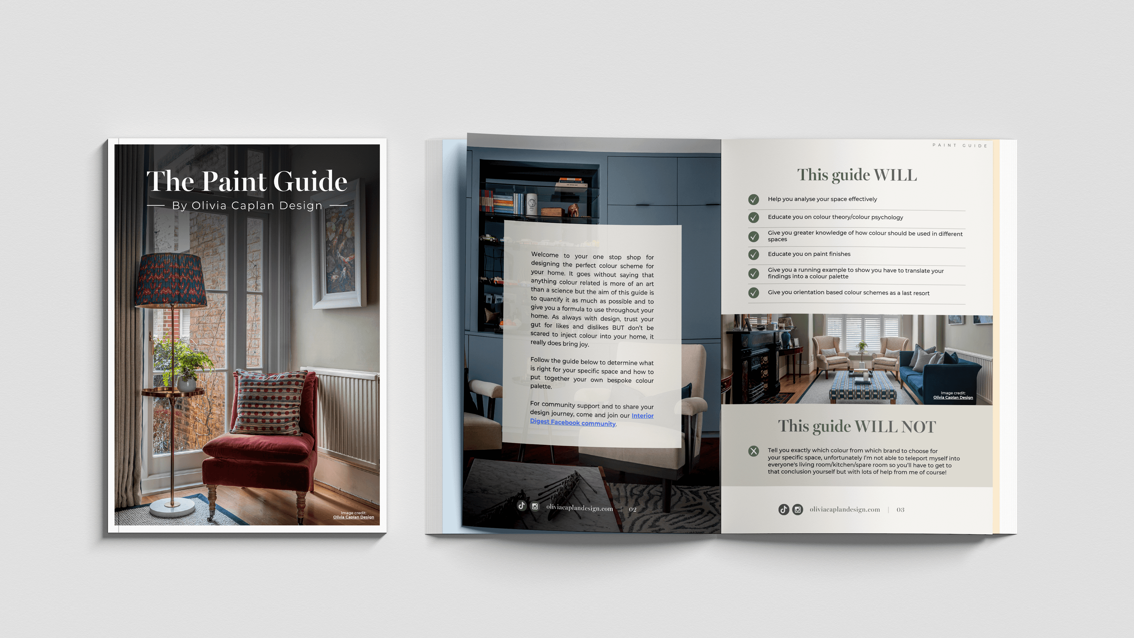 Get My Paint Guide Now!